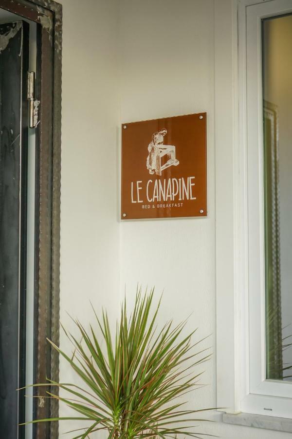 B&B Le Canapine フラッタマッジョーレ エクステリア 写真